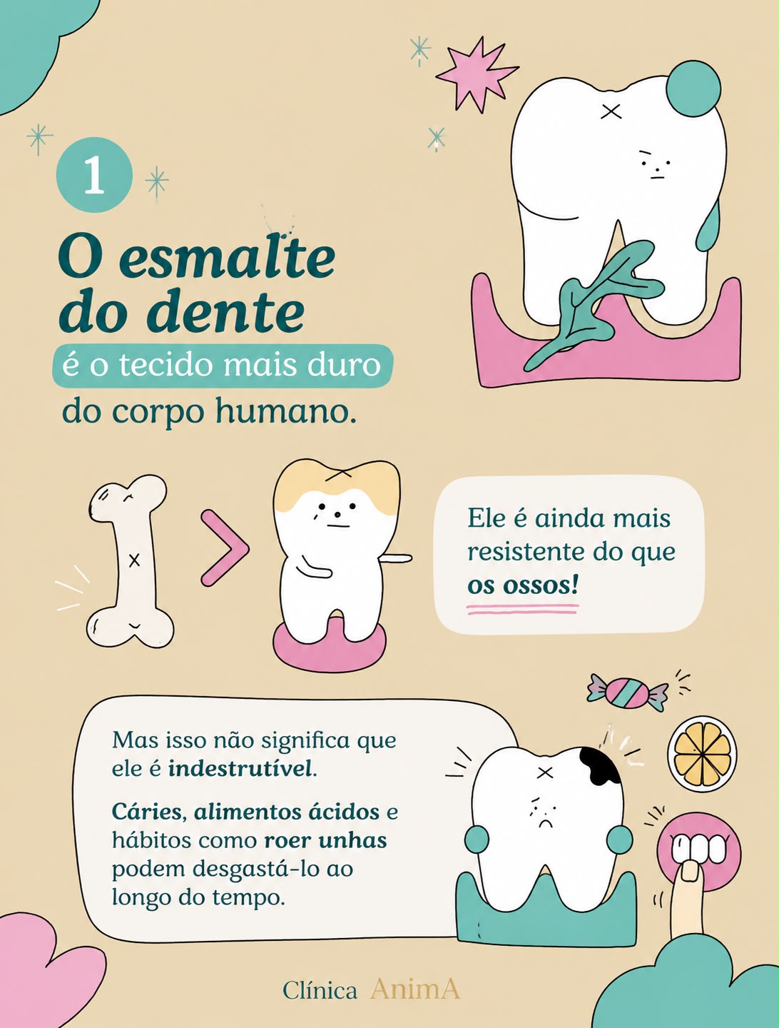 Carrossel 3 Curiosidades Sobre Dentes por Catarina Mota Moreno - Slide 2